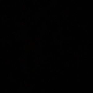 Meet your Posher, Katrina